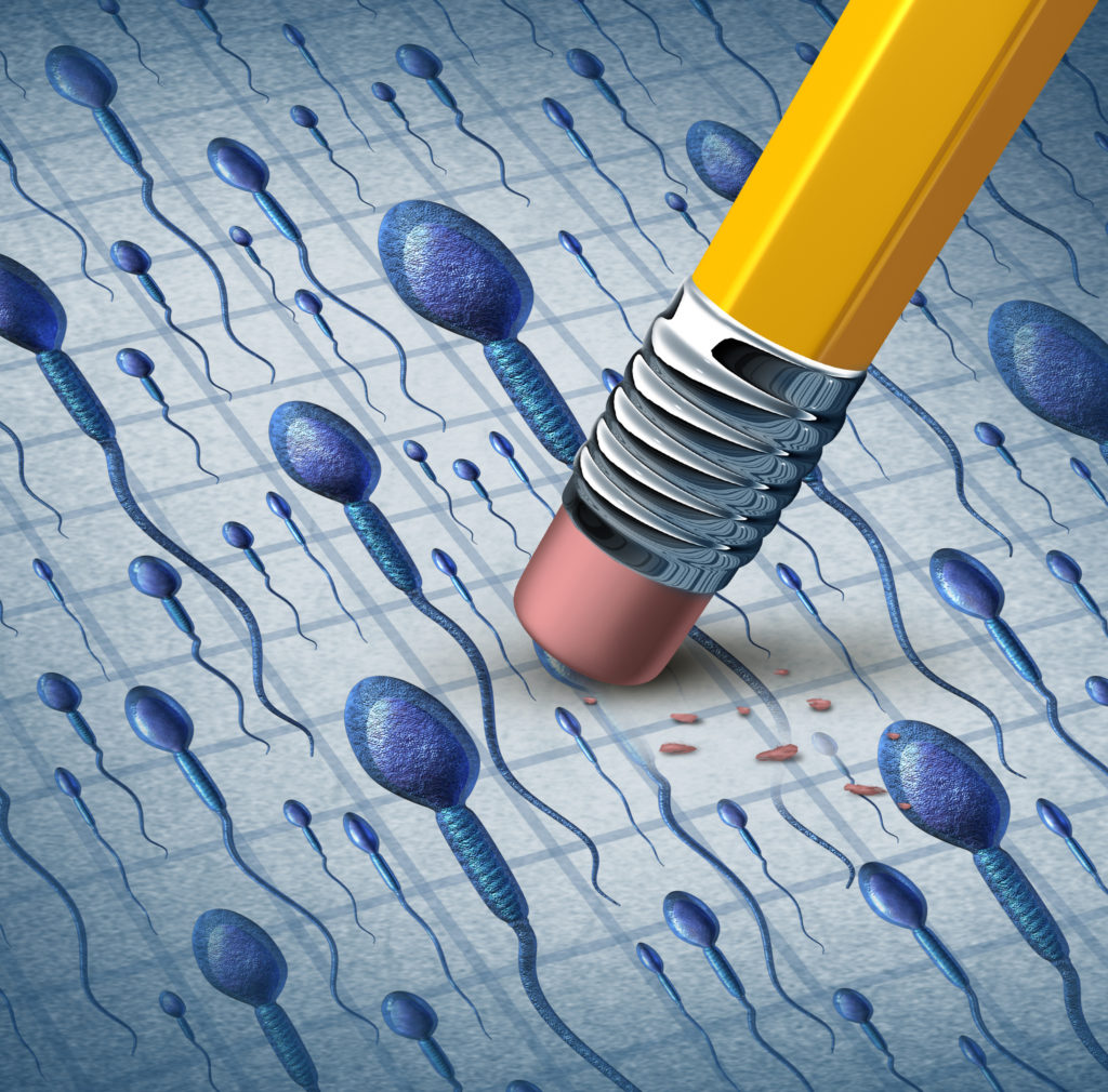Male fertility risks medical concept with a group of human sperm cells with a close up of microscopic spermatozoa cells swimming and a yellow pencil eraser removing cells as a symbol of infertility.