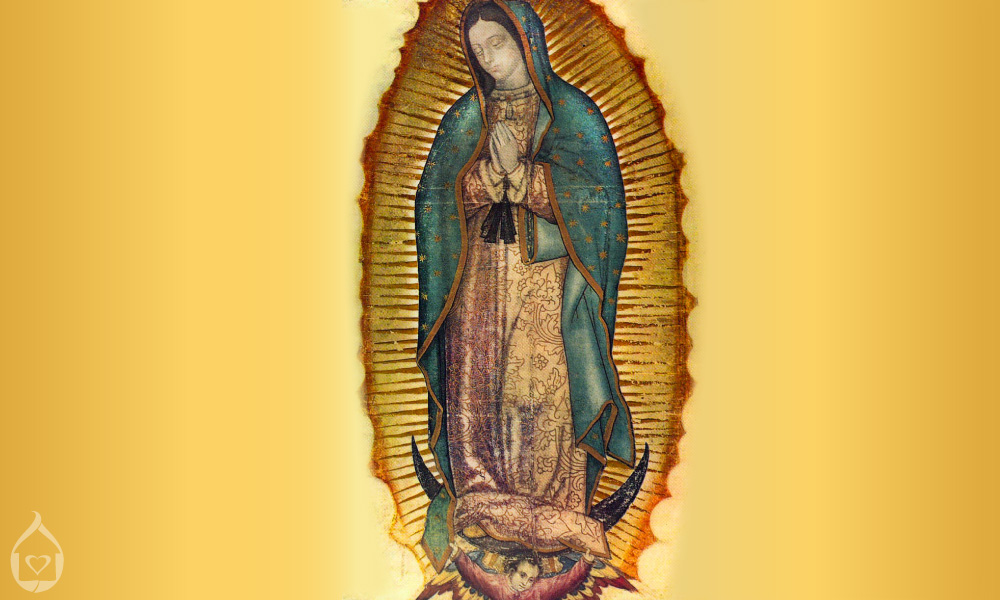 ourlady_guadalupe